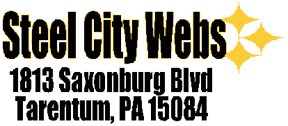 Steel City Webs, website design, hosting, seo, digital marketing, online advertising, printed business cards, invoices, flyers, signs, brochures, cards